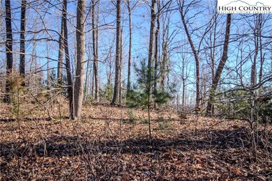 2221 Nighthawk Ridge Ct, Lenoir, NC 28645 - photo 5