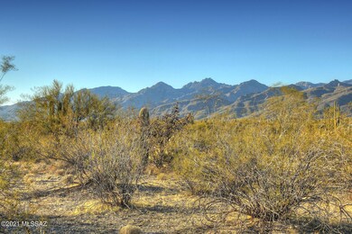 DSC_0426A