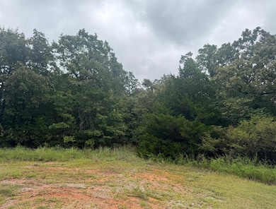 15 E Comanche St, Norman, OK 73026 - photo 5