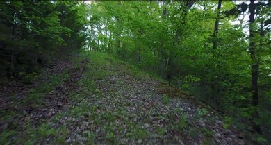 10900 Sugar Creek Rd, Bentonville, AR 72712 - photo 5