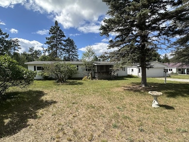 3048 S Wakeley Bridge Rd, Grayling, MI 49738 - photo 2