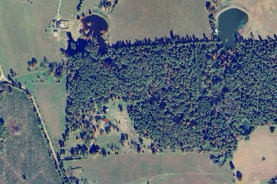 3902 Moore Cemetery Rd, Groveton, TX 75845 - photo 4