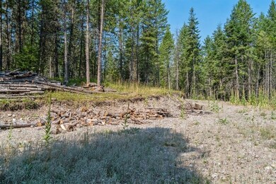 283 Belterra Ln, Big Fork, MT 59911 - photo 6