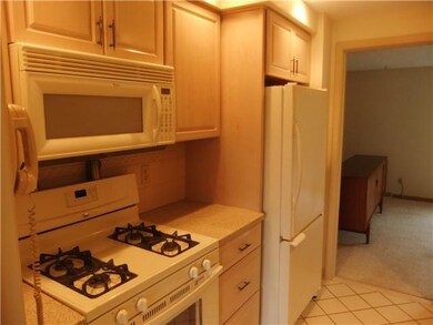 Kitchen spotless appliances