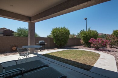 Back yard
