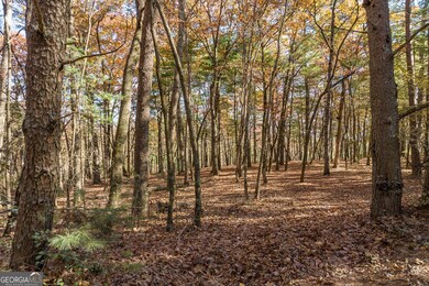 TR 1 Old Anderson Creek, Ellijay, GA 30536 - photo 3