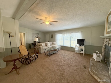 212 Man Hall Rd, Dothan, AL 36305 - photo 4