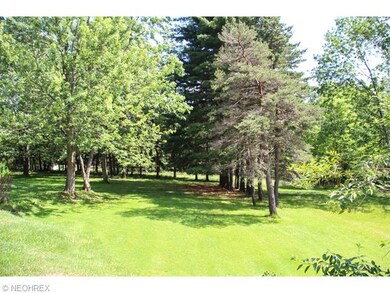 Large backyard!