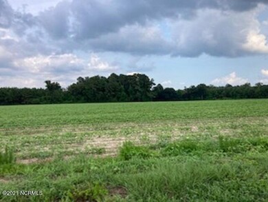 0 Waycross Rd unit 100293878, Turkey, NC 28393 - photo 3