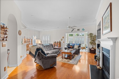 Living room with light wood finished floors, healthy amount of natural light, a glass covered fireplace, ceiling fan, and crown molding
