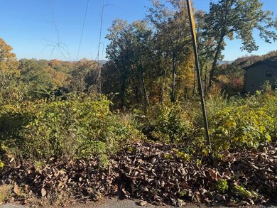 Lot 201 Stuart Terrace, Chattanooga, TN 37415 - photo 4