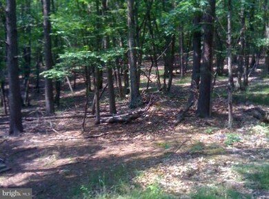 2 Wild Cat Ln, Rio, WV 26755 - photo 2