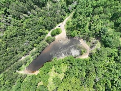 00 V/L W 13 Mile Rd unit Par E, Bitely, MI 49309 - photo 4