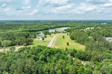 Lot 2 N Leahmon Ln, Mathews, AL 36052 - photo 2