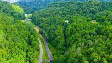 TBD 8 Big Laurel Rd, Creston, NC 28615 - photo 4