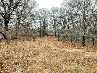 TBD County Road 4790, Boyd, TX 76023 - photo 5