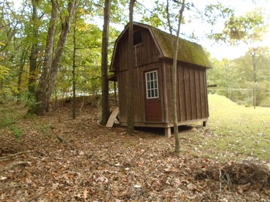 Shed 3