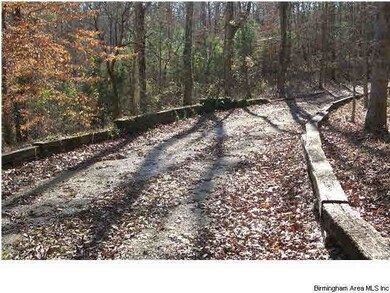 Circular drive is lined with beautiful Beech trees