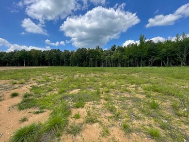 0 Lot 38 Lynnlee Ln unit 24-1774, Myrtle, MS 38650 - photo 2