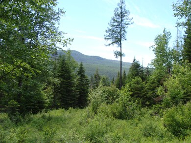 Lot 14 Tranquil Place, Bigfork, MT 59911 - photo 4