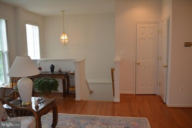 42819 Shaler St, Chantilly, VA 20152 - photo 3