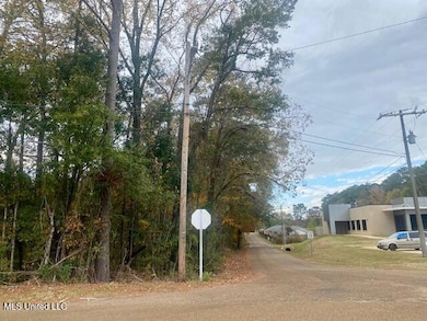 0 Llewellyn Ave, McComb, MS 39648 - photo 3