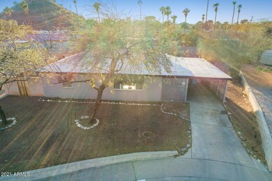 Xeriscape front yard