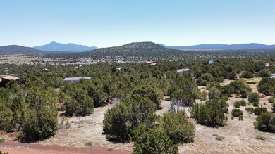 dji_fly_20230707_135358_543_168876365808