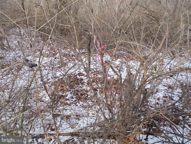 0 Blakewood Dr unit 1001027407, Chambersburg, PA 17201 - photo 3