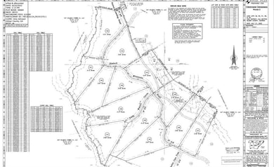 LT 123 Blalock Mountain Rd, Talking Rock, GA 30175 - photo 6