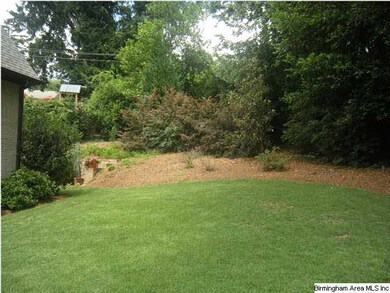 Great side yard for playing