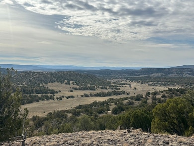 0 Nsn Highway 36 unit 25747166, Fence Lake, NM 87513 - photo 4