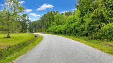 TBD Watts Rd, Loris, SC 29569 - photo 6