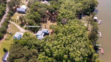 243 Belladonna Ct, Georgetown, SC 29440 - photo 4