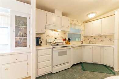 5619 Apache St, Zephyrhills, FL 33542 - photo 3