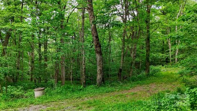 233 Woodland Springs Trail unit 14, Boone, NC 28607 - photo 3