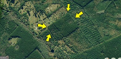 1062 Waverly Farms Rd, Waverly, GA 31565 - photo 4