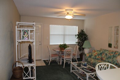 Living Room / Dining Area