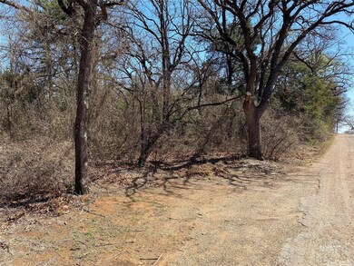 6851 Kirk Ln, Burleson, TX 76028 - photo 4