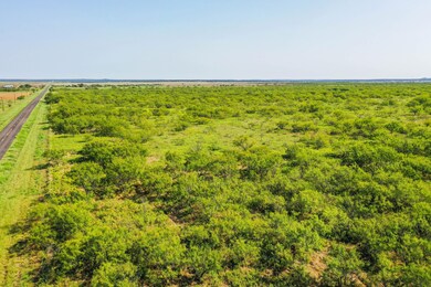 262.71 Acres unit FM 1191, Jermyn, TX 76459 - photo 2