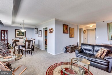 5501 Seminary Rd unit 308S, Baileys Crossroads, VA 22041 - photo 5