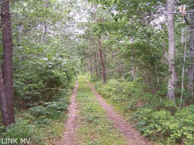 24 Turkeyland Cove Rd, Edgartown, MA 02539 - photo 2