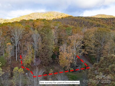 TBD Mystic View Ln, Black Mountain, NC 28711 - photo 4