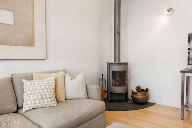 pitkin_creek_condos_12B_vignette_living