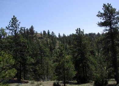 TBD Lone Rock Canyon Ln unit SC-28, Hysham, MT 59076 - photo 7