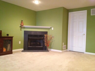 Fireplace LL