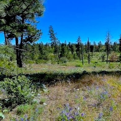 Lot A Kronos Short Plat Ln, Davenport, WA 99122 - photo 3
