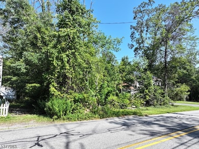 19 E Shore Lake Owassa Rd, Newton, NJ 07860 - photo 4