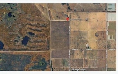 CITRUS Grove atLedle Citrus Grove Ledleyware Rd, Bartow, FL 33830 - photo 3