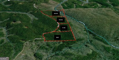 13.9 +/- AC Awbreys Gin Rd, Franklin, GA 30217 - photo 5